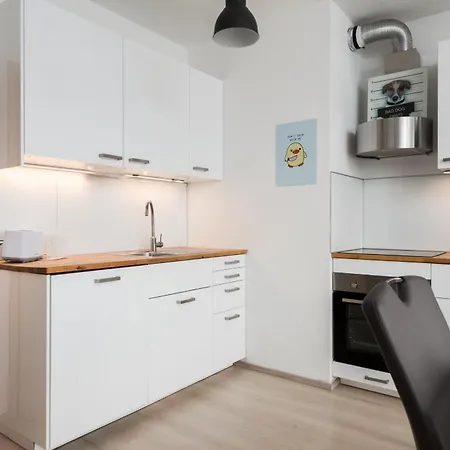 The Sunny Riverside Flat Πράγα