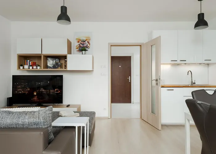 The Sunny Riverside Flat Apartment