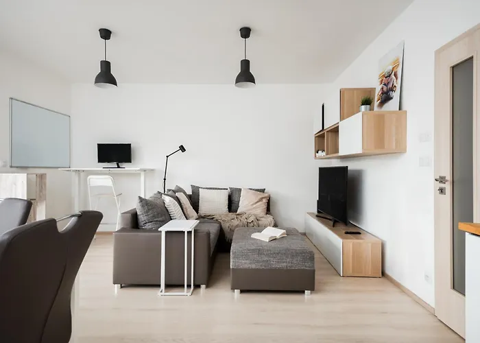 The Sunny Riverside Flat Apartment Prag